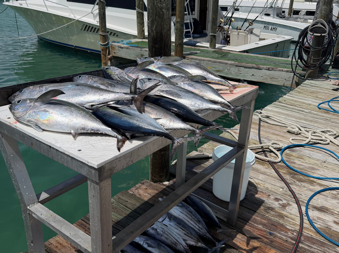 Panoply Sport Fishing & Luxury Charters-普罗维登西亚莱斯必去景点