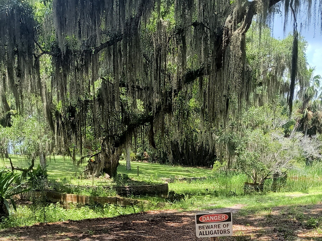 Cumberland Island National Seashore-St. Marys必去景点
