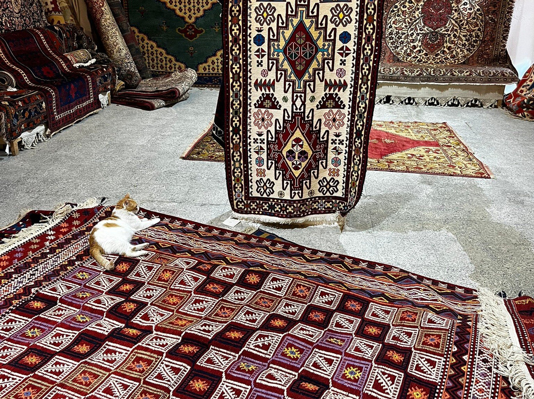 Pergamon Carpet Weaving Coop-贝尔加马必去景点