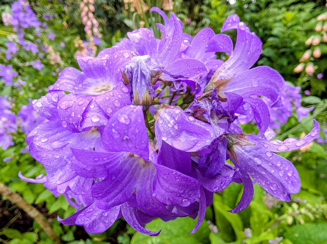 Holker Hall and Gardens-Grange-over-Sands必去景点