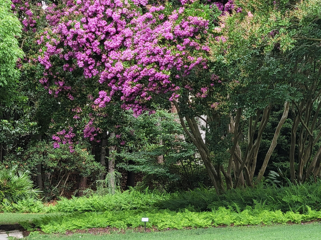 莎拉·杜克花园-达勒姆必去景点