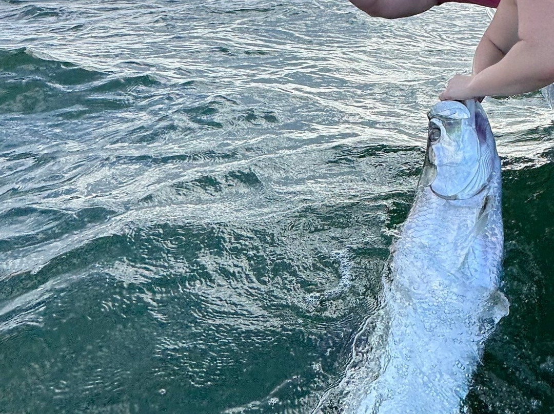 Reel Intense Inshore Charters-Boca Grande必去景点