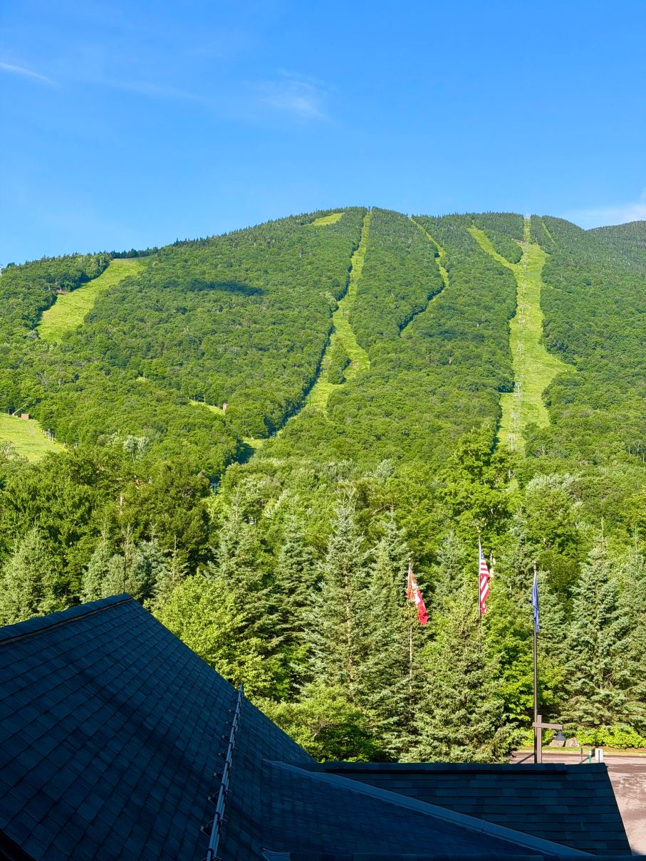 斯普鲁斯山峰度假村 - Hyatt悠选品牌成员-旅行者