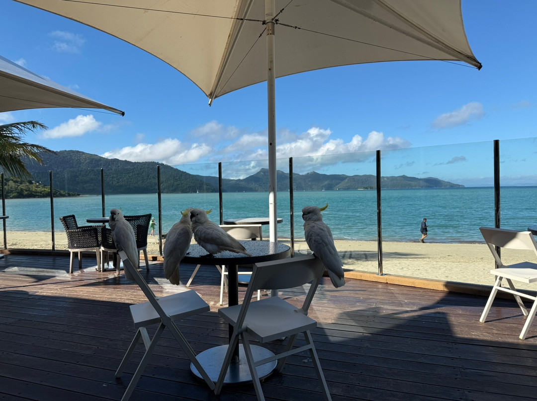 海曼岛大堡礁洲际酒店主图