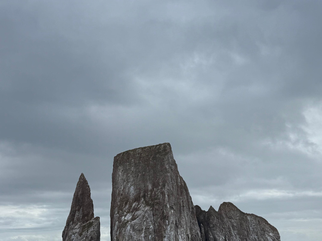 Go Galápagos Tours-Baltra必去景点