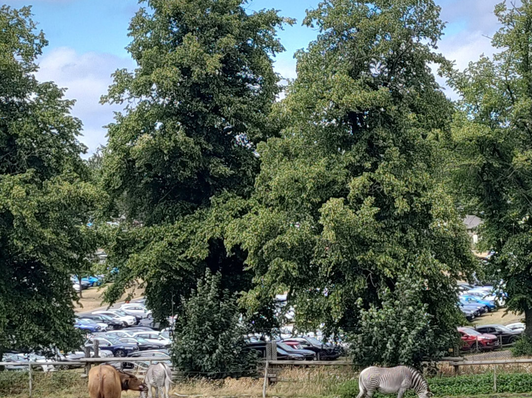 West Midlands Safari Park-Bewdley必去景点