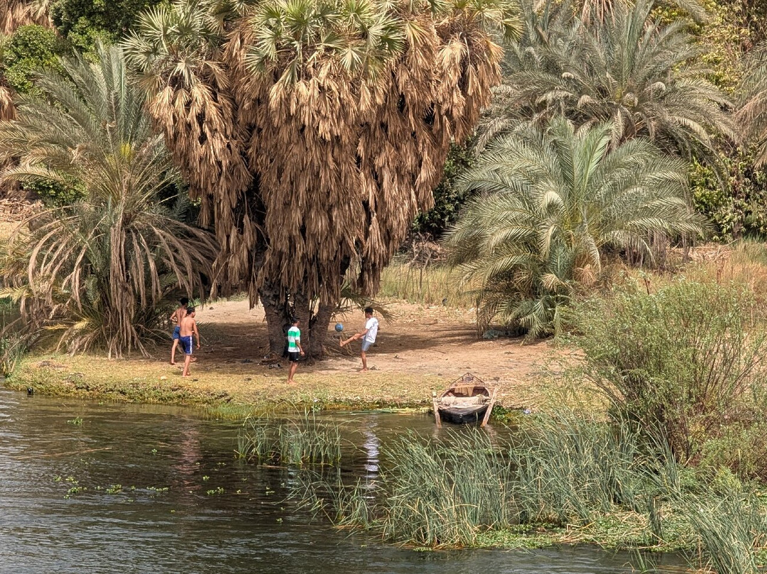 Cairo Top Tours-开罗必去景点
