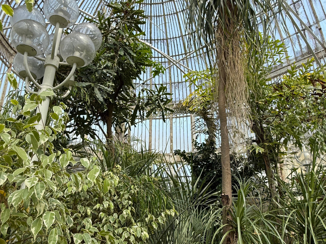 Botanic Gardens-贝尔法斯特必去景点