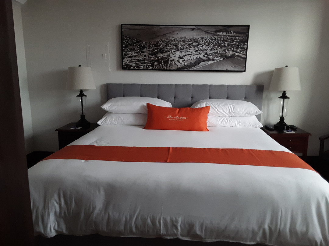 The Andrus Hotel主图
