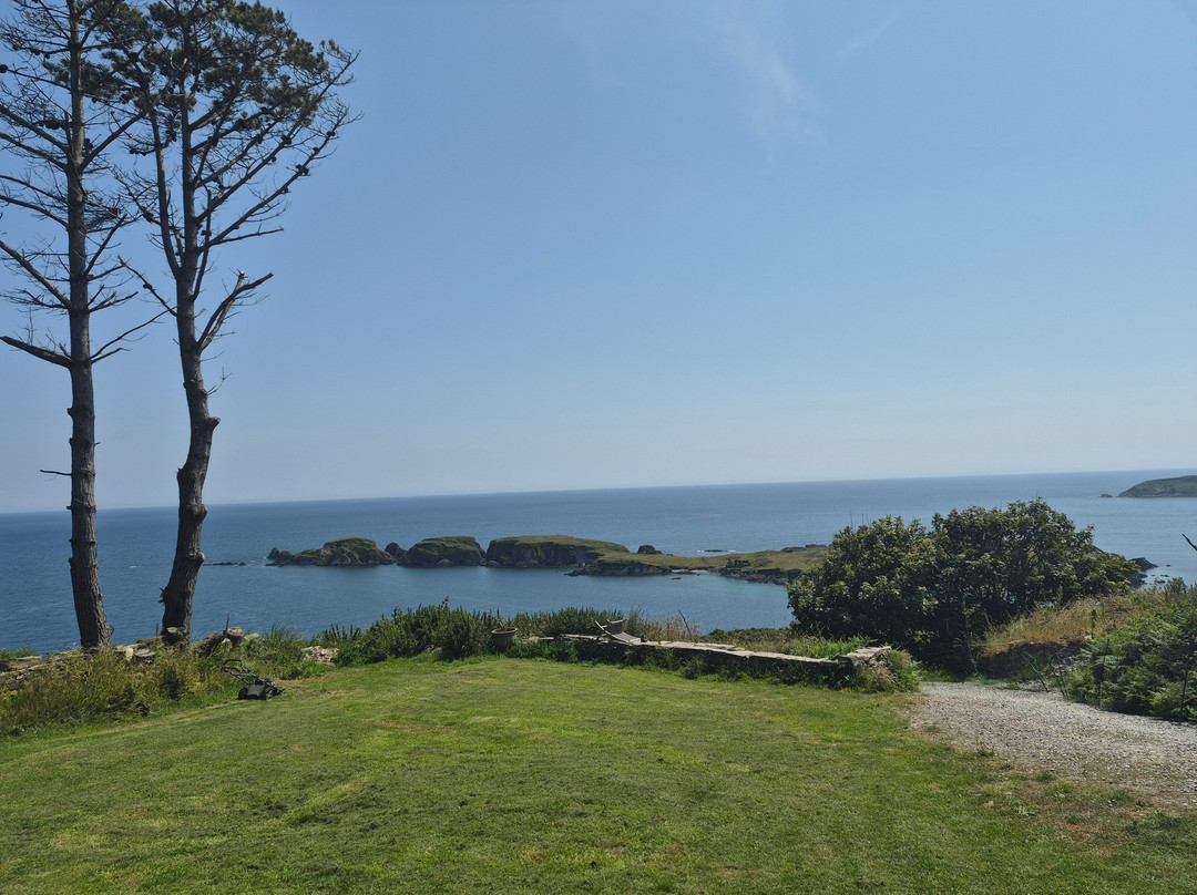 Seaside Alpacas West Cork-Union Hall必去景点