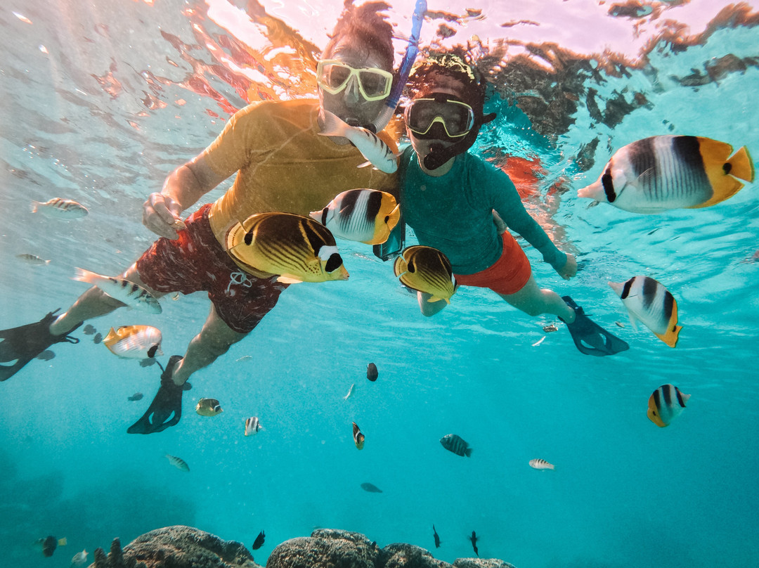 Mermaid Private Boat Tours-莫雷阿岛必去景点