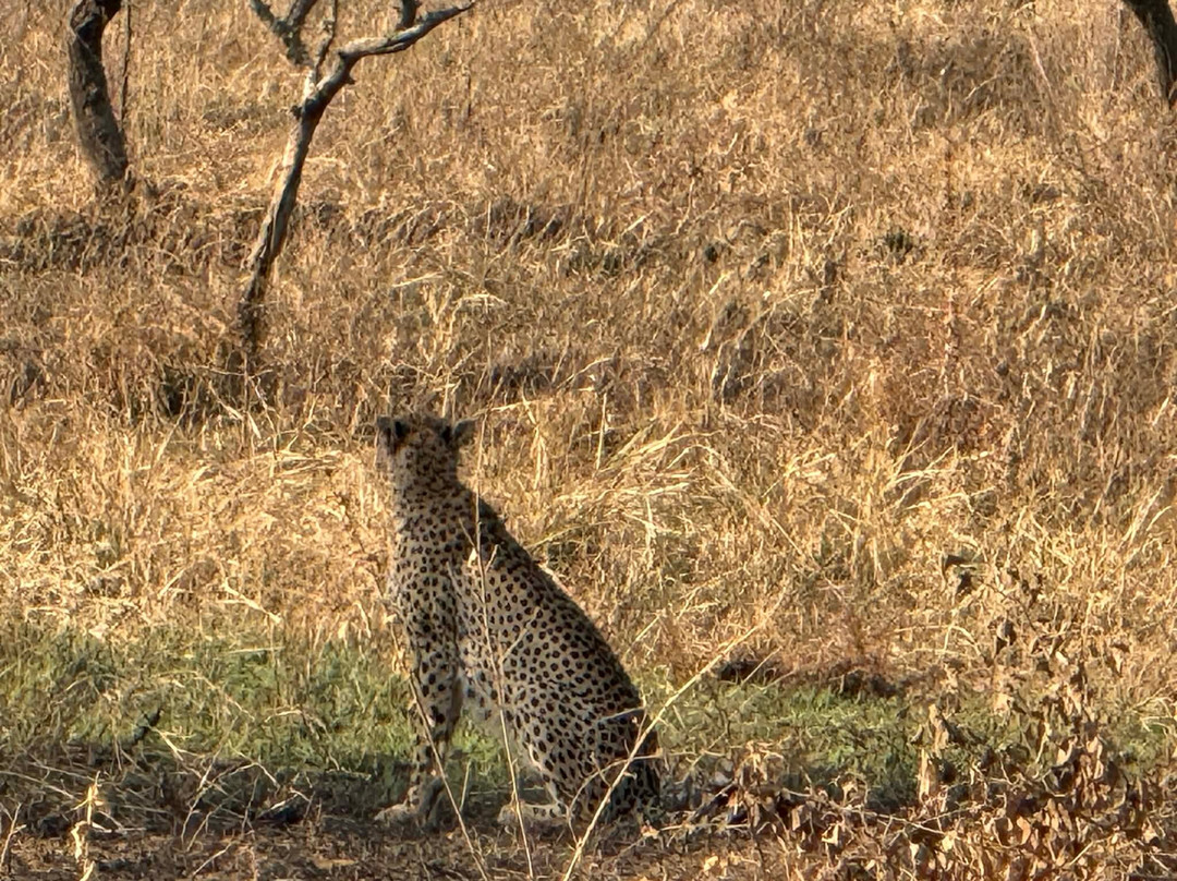 Leopard Tours Limited-阿鲁沙必去景点
