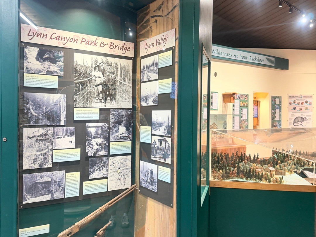 Lynn Canyon Ecology Centre-北温哥华必去景点