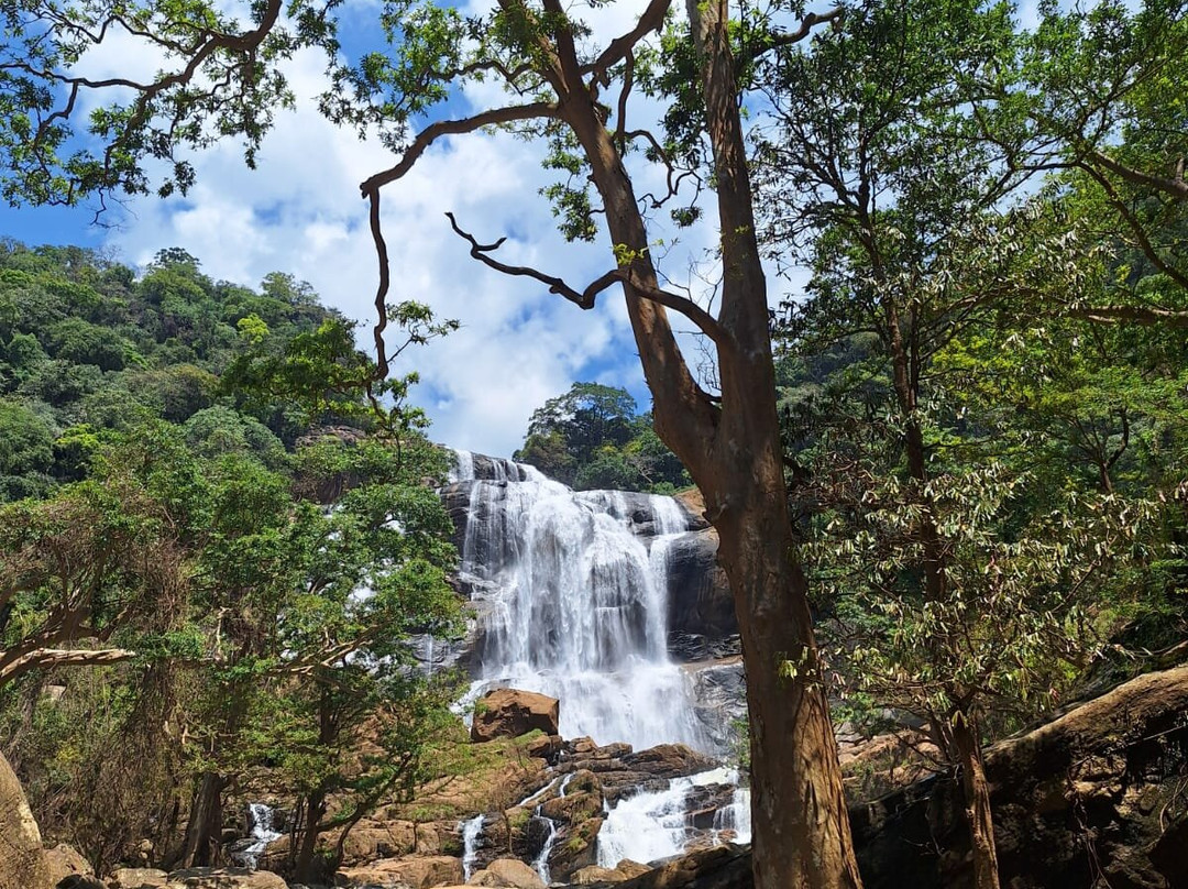 Sri Lanka Travel Secrets-Mount Lavinia必去景点