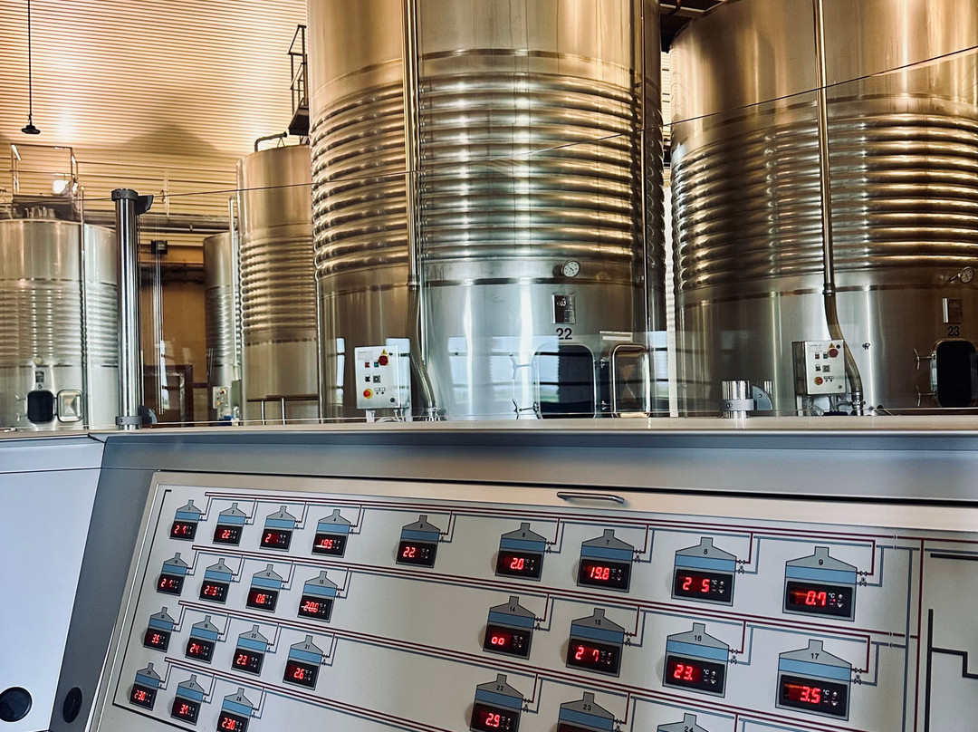 Bodega Finca Valpiedra-Fuenmayor必去景点