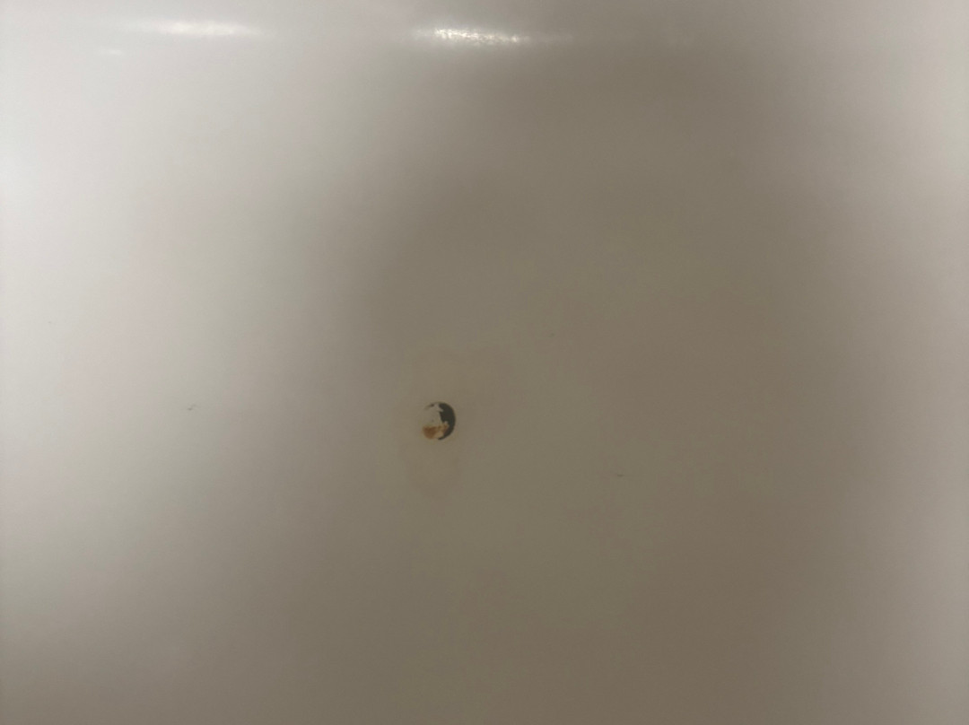 鲍灵格林贝斯特韦斯特优质酒店主图
