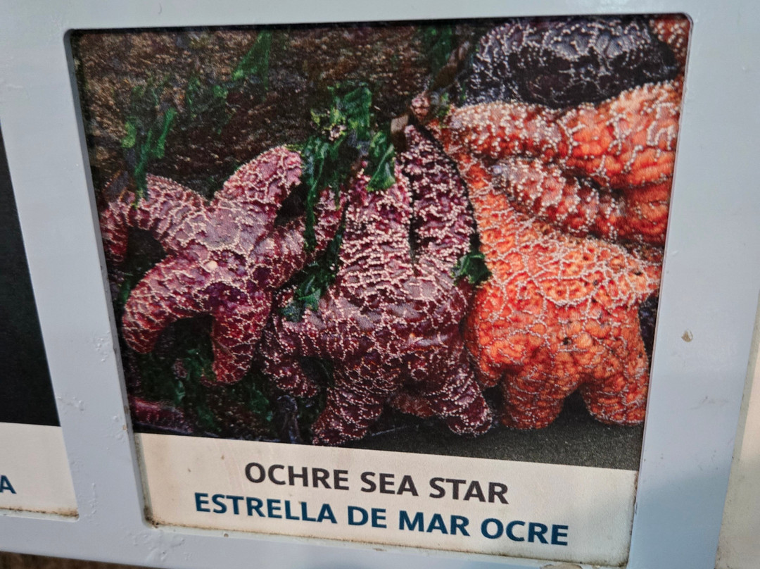 Oregon Coast Aquarium-纽波特必去景点