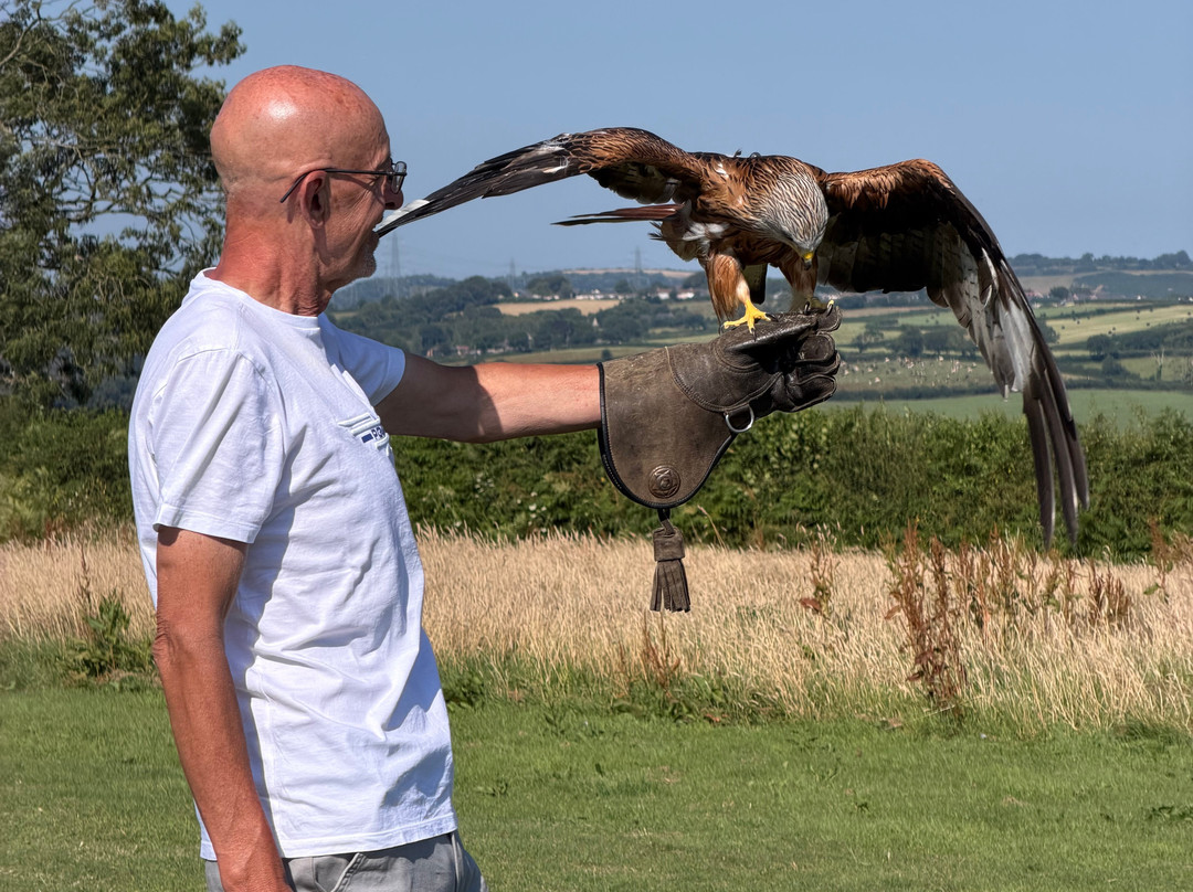 The British Bird of Prey Centre-喀麦登必去景点