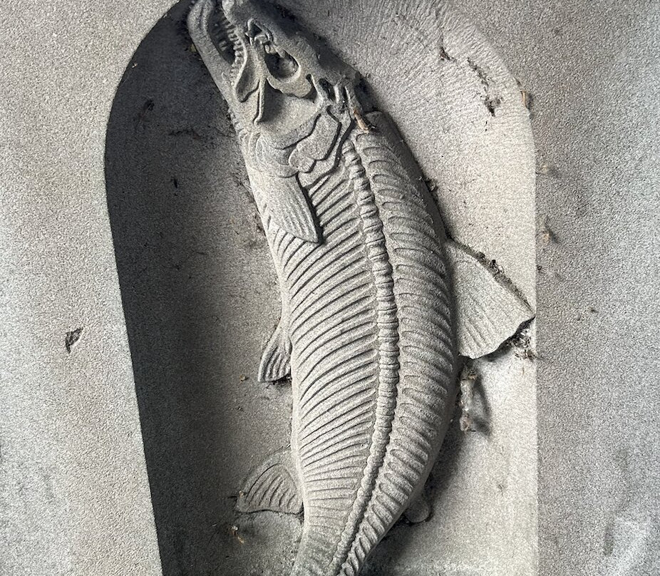 River Tay Public Art Trail-珀斯必去景点