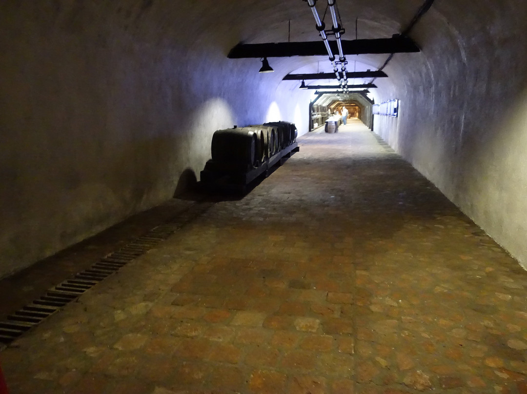 Wineshop “Winery Khareba”-Kvareli必去景点