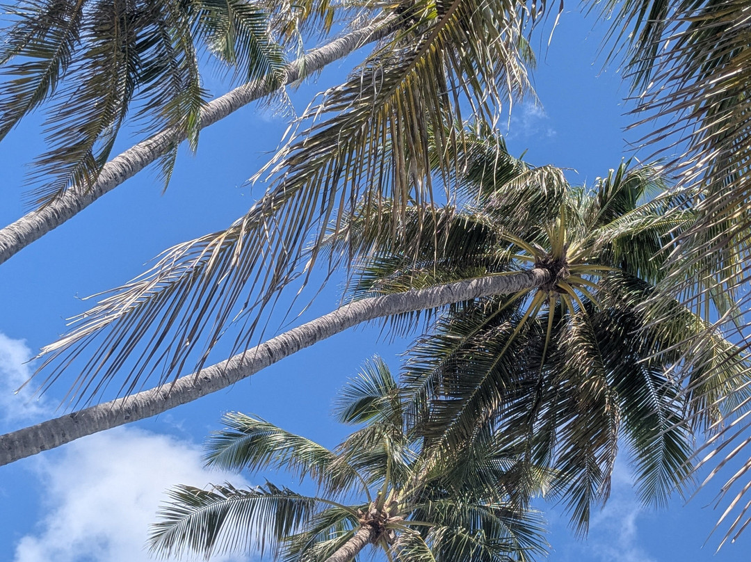 TUI BLUE Olhuveli Romance主图
