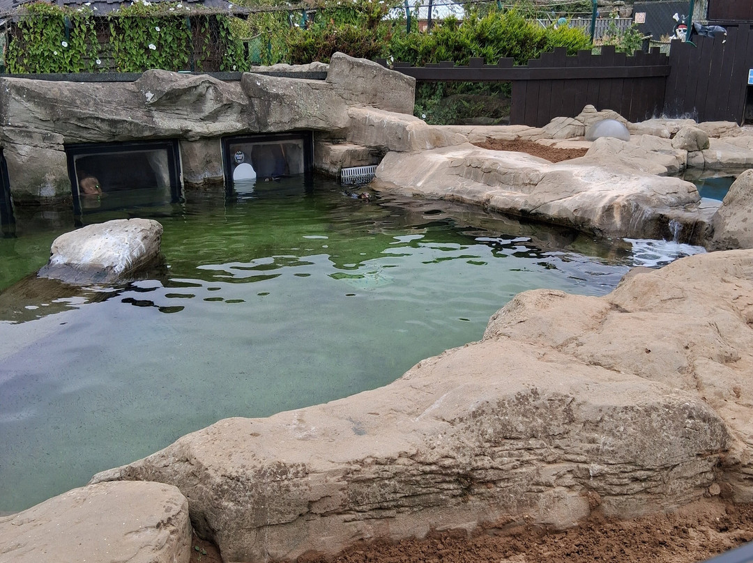 Sea Life Scarborough-斯卡伯勒必去景点