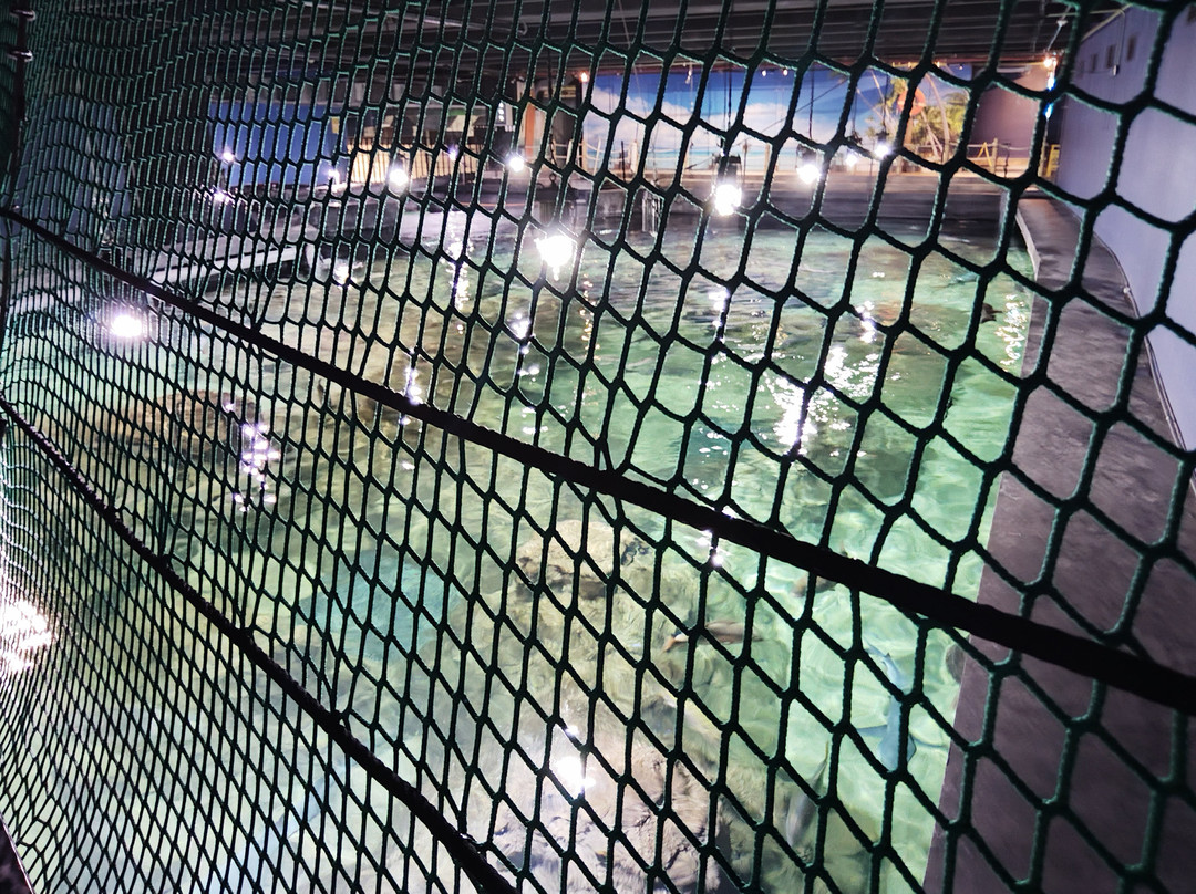 Acuario Michin Puebla-普埃布拉必去景点
