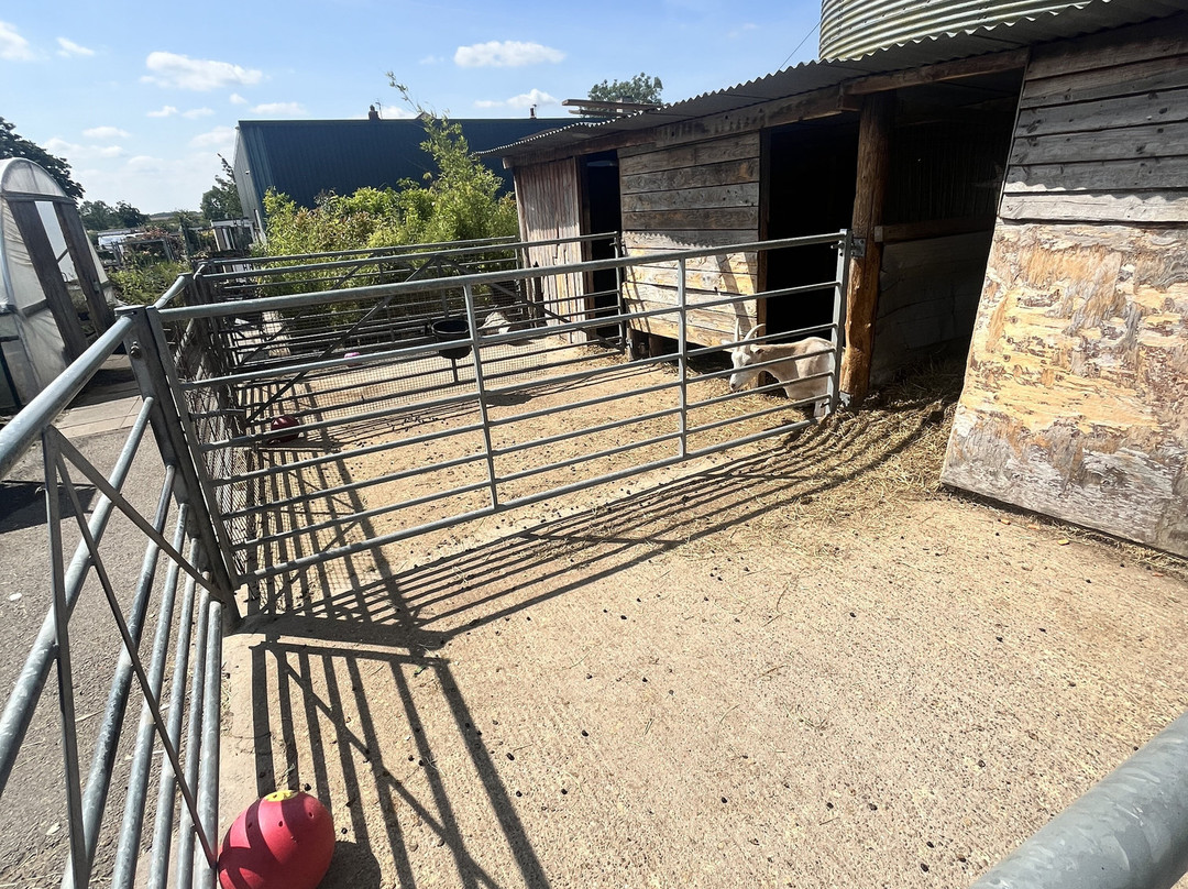 Lane's Garden Centre Open Farm-德比必去景点