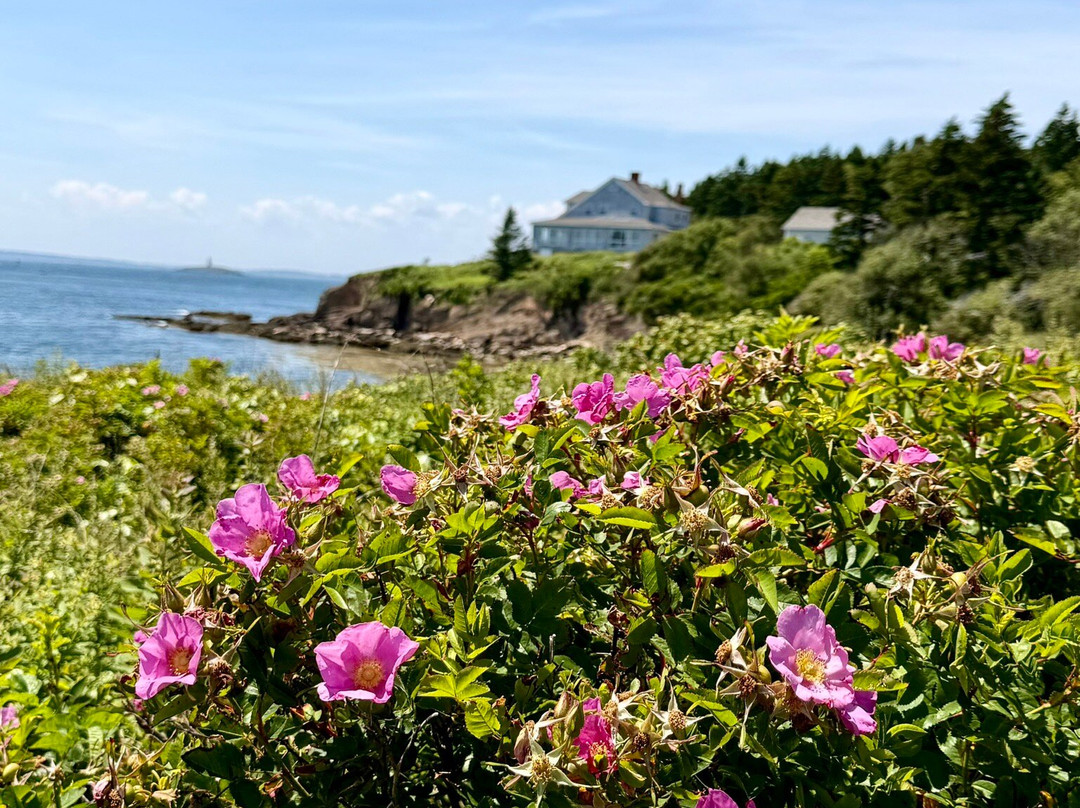 Lands End Gift Shop-Bailey Island必去景点