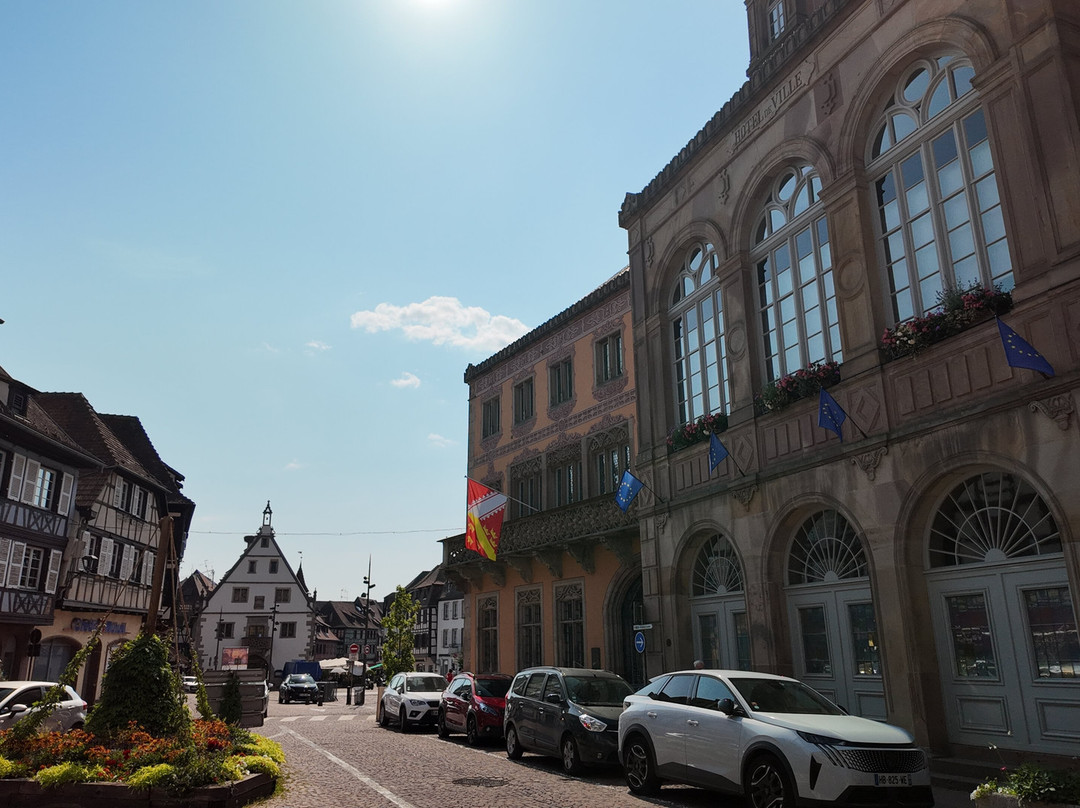 Parcours Historique d'Obernai-奥贝奈必去景点