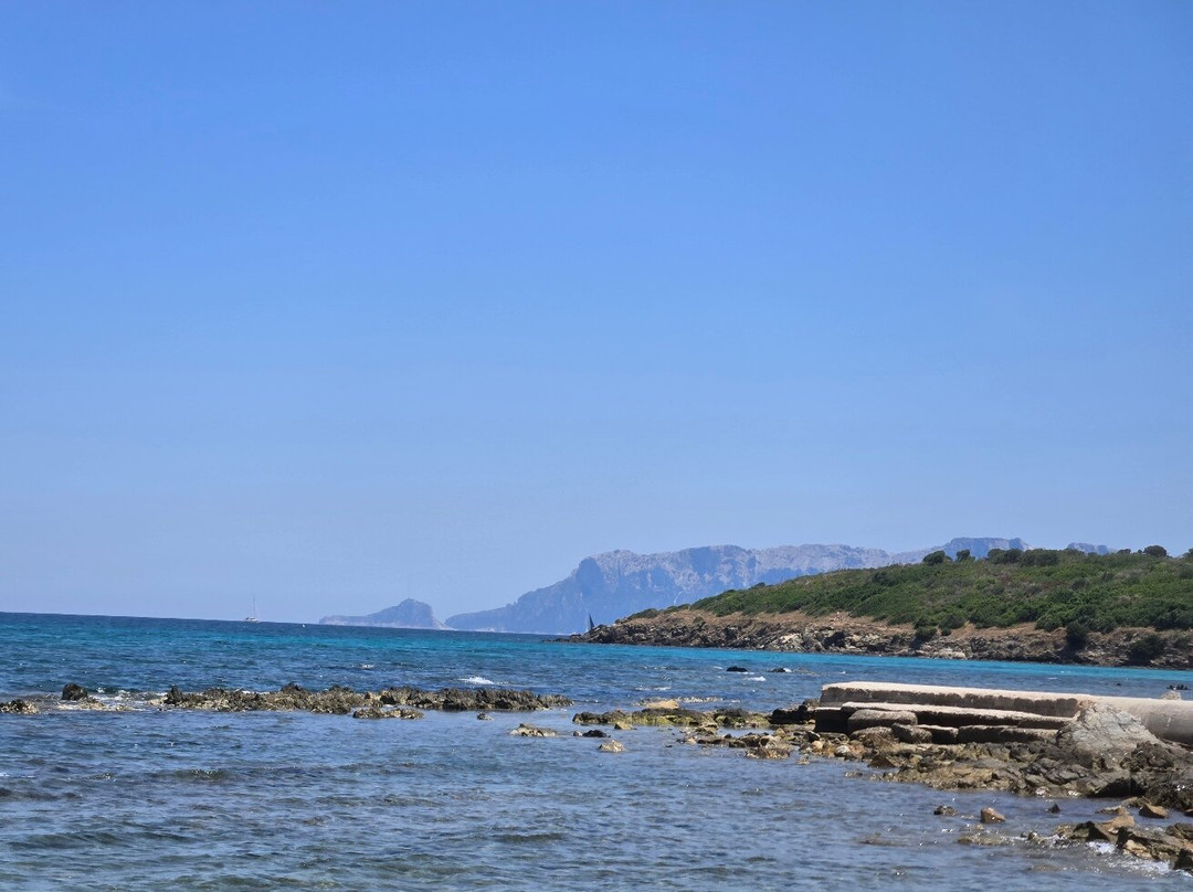 Spiaggia Pittulongu - La Playa-奥尔比亚必去景点