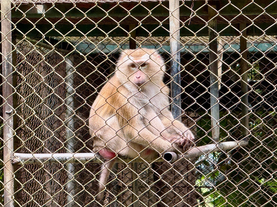 Khao Kho Zoo-考柯县必去景点