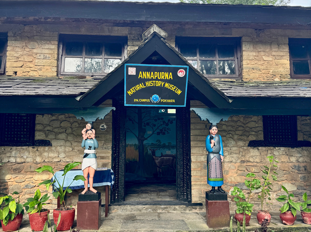 Annapurna Butterfly Museum-博卡拉必去景点