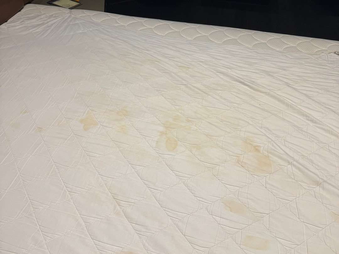 普莱奇斯科普酒店主图