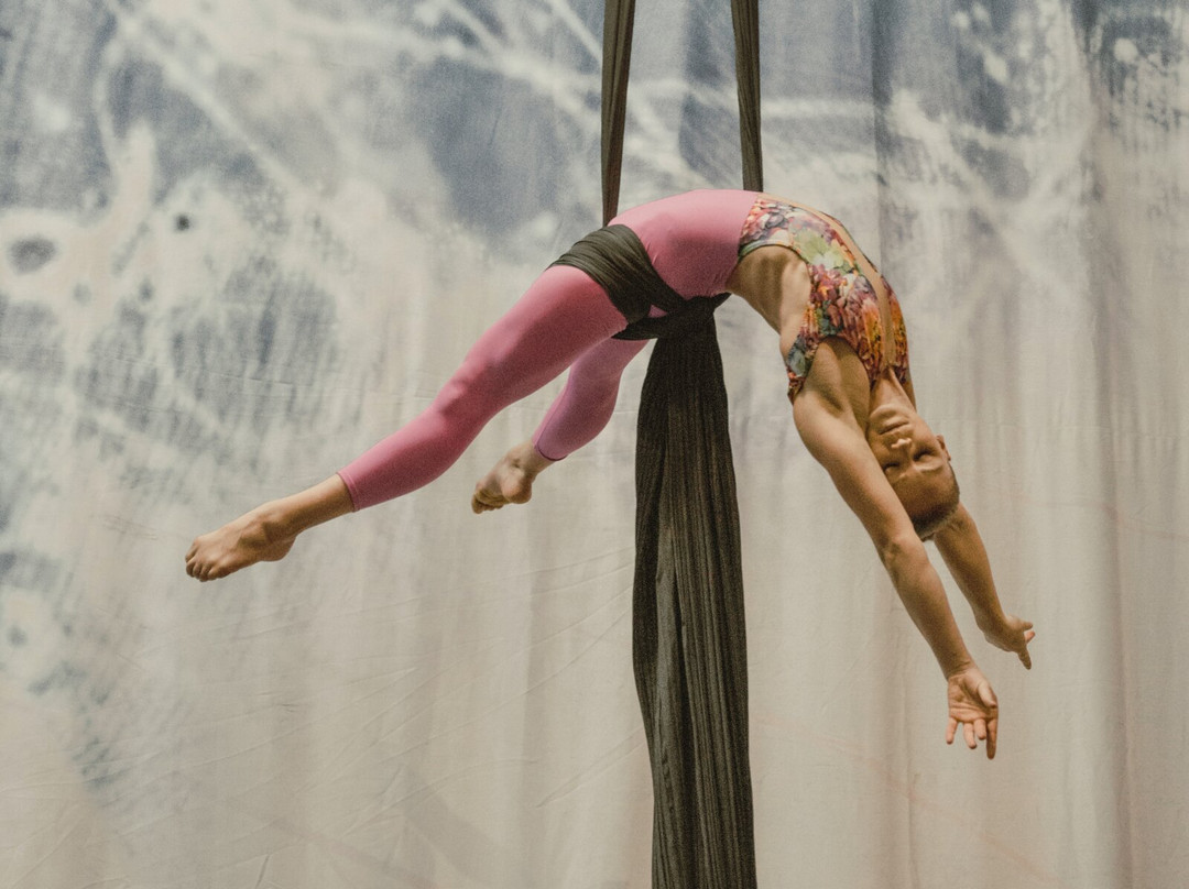 Circus Arts Byron Bay-拜伦湾必去景点