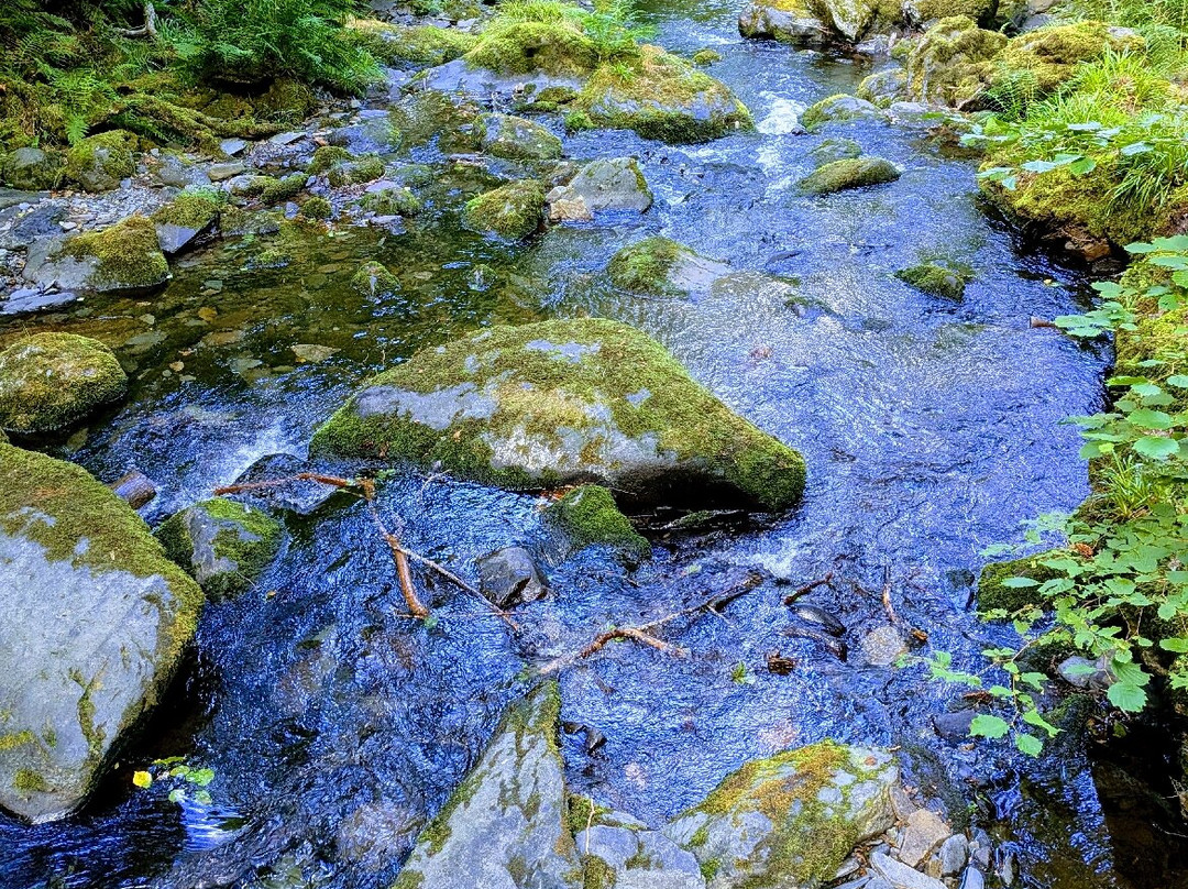 Dolgoch Falls-雪墩国家公园必去景点