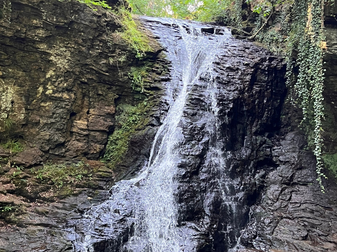 Hareshaw Linn Walk-Bellingham必去景点