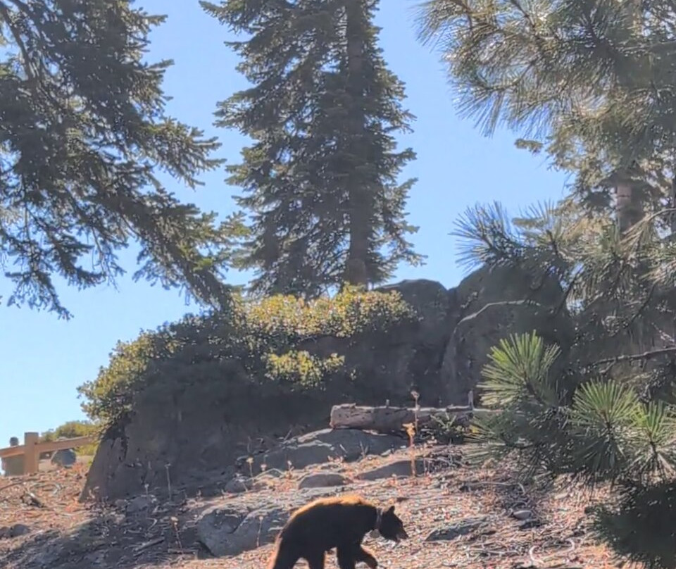 Yosemite 360 Tours-菲什营必去景点