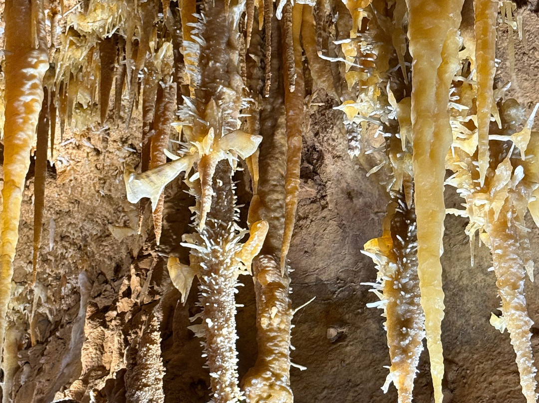 La grotte de Maxange-Le Buisson-de-Cadouin必去景点