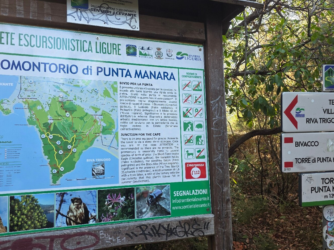 Sentiero per Punta Manara-东塞斯特里必去景点