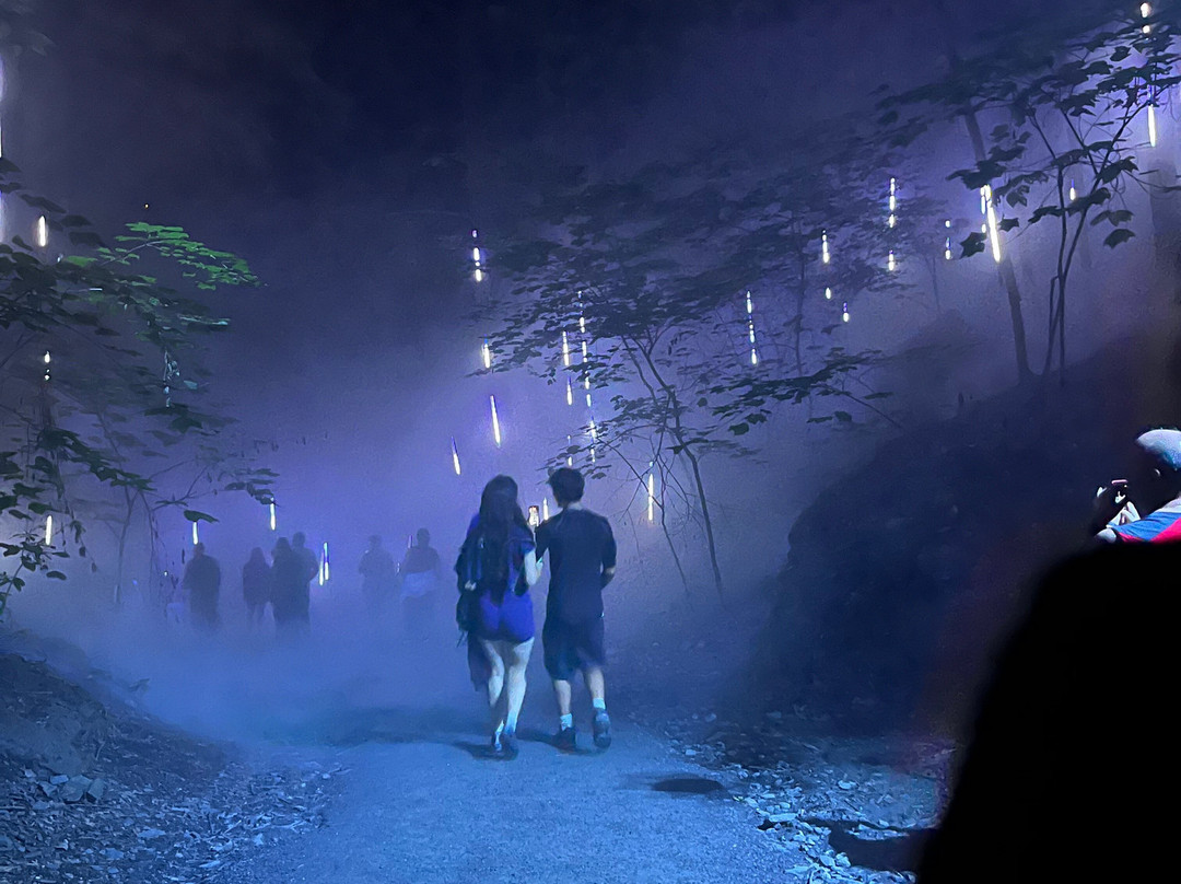 Foresta Lumina-Coaticook必去景点