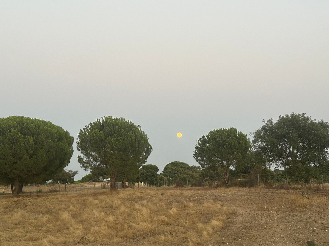 Herdade Das Barradas da Serra主图