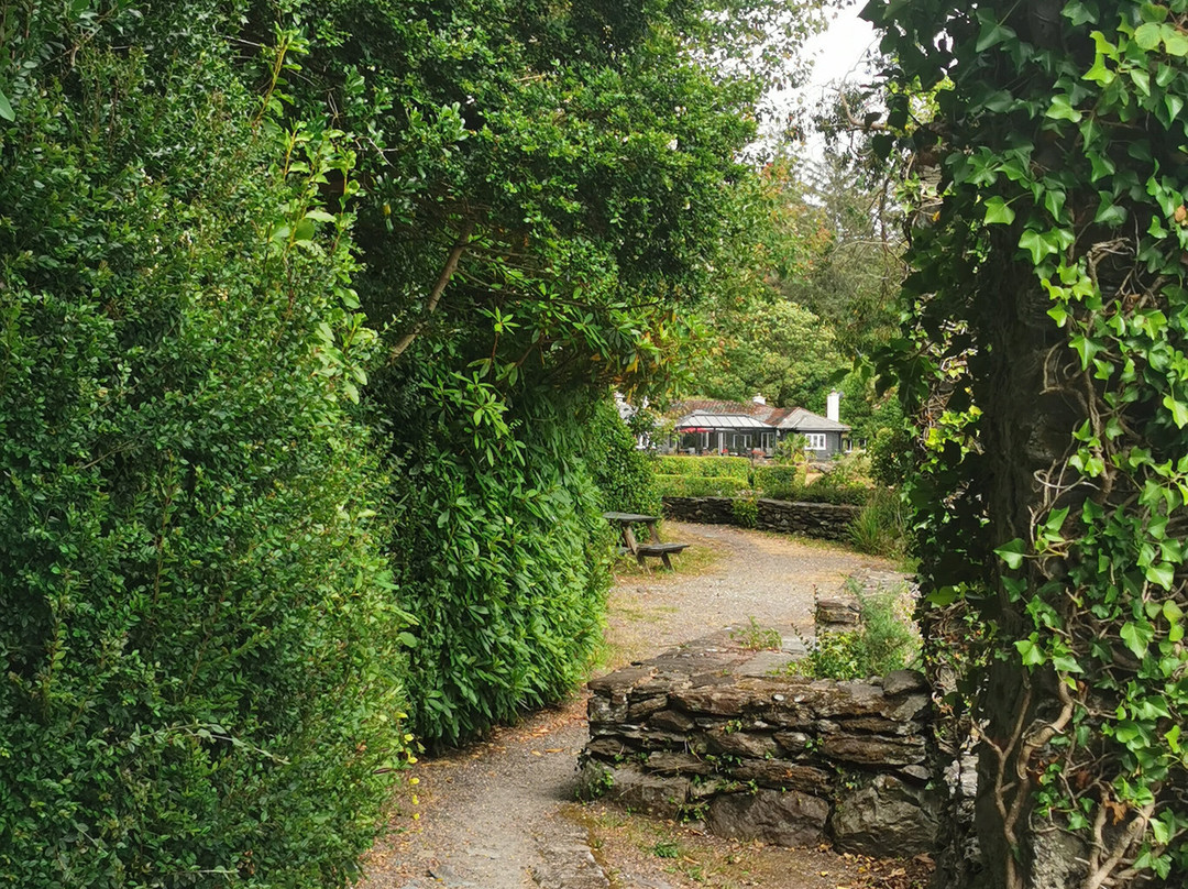 Glengarriff Bamboo Park-Glengarriff必去景点