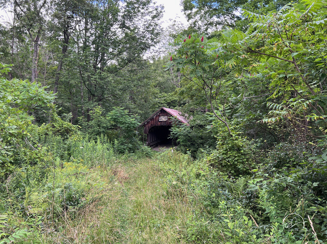 Blacksmith Shop Bridge-Cornish必去景点