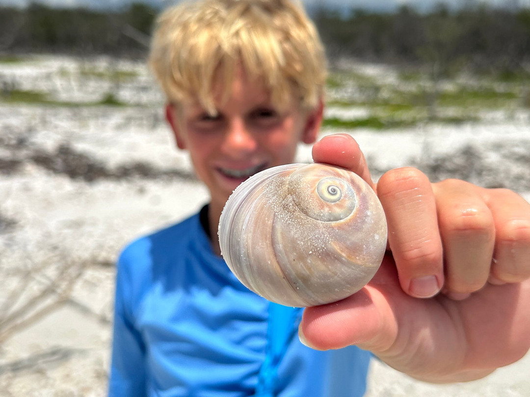 Treasure Seekers Shell Tours-Goodland必去景点
