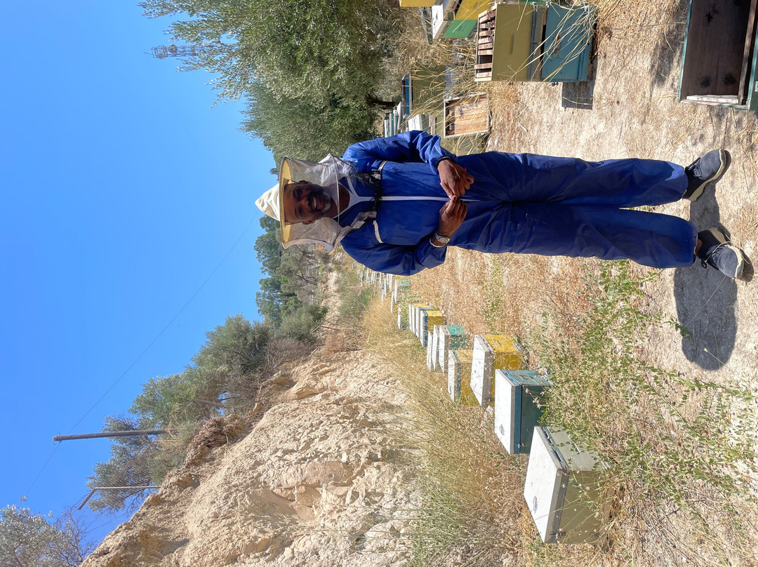 Kokkiadis Honey Farm-Athanati必去景点