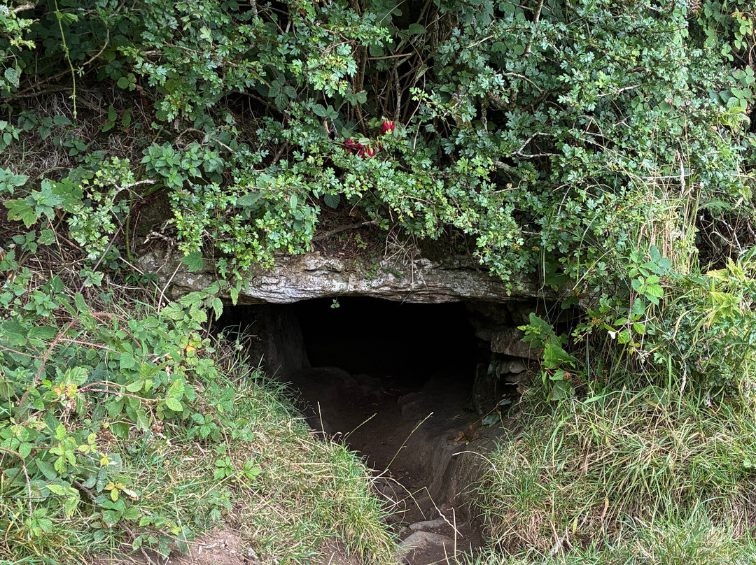 Rathcroghan Royal Site & Visitor Centre-Tulsk必去景点
