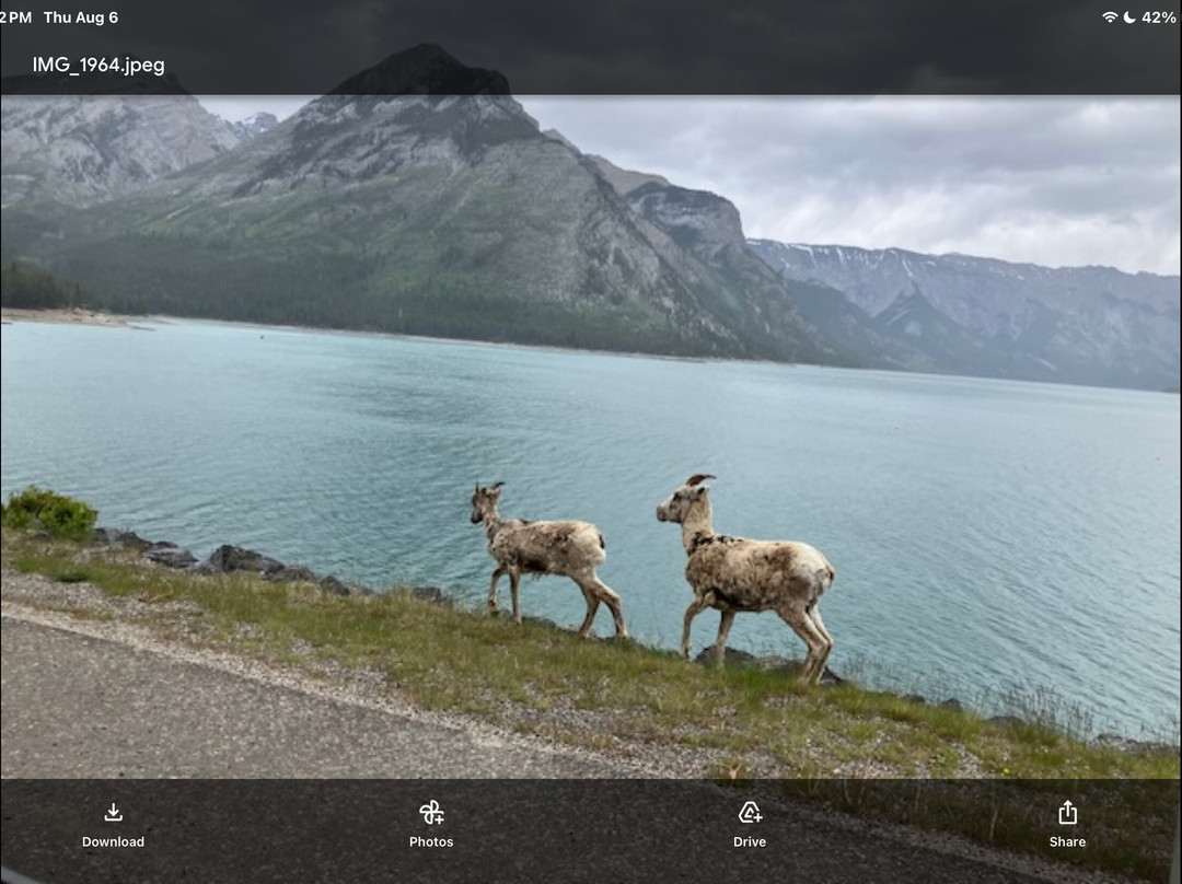Canadian Rockies Experience-坎莫尔必去景点