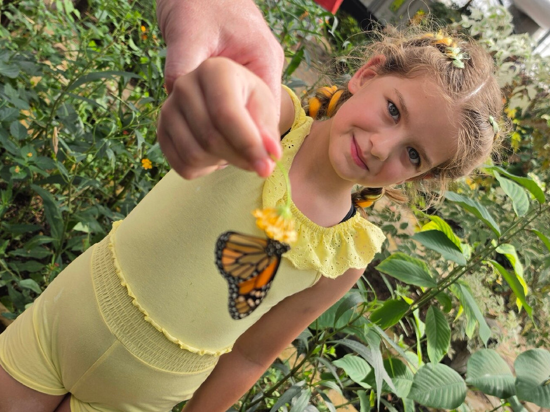 Butterfly World and Fountain World-Wootton必去景点