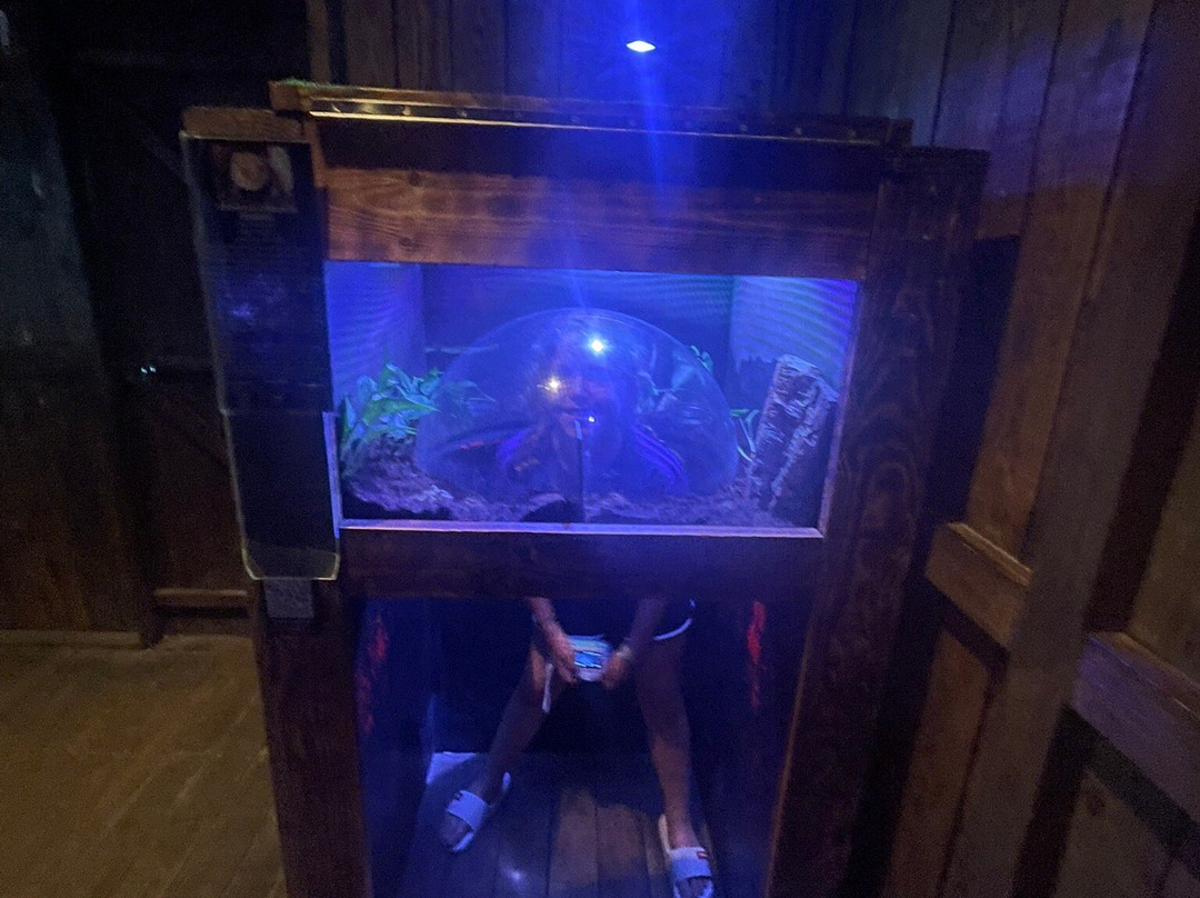 Aquarium Oniria-卡内鲁西永必去景点